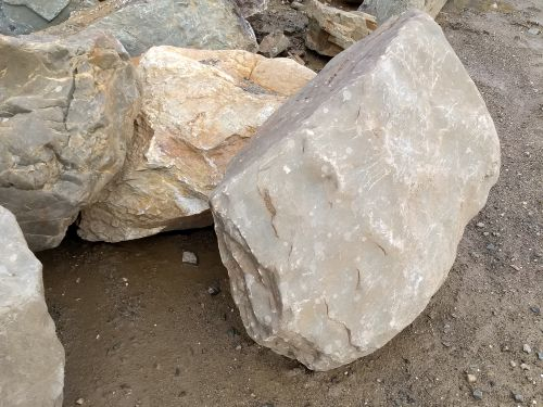 28569 28569 maaskeien groot kopen 1 1