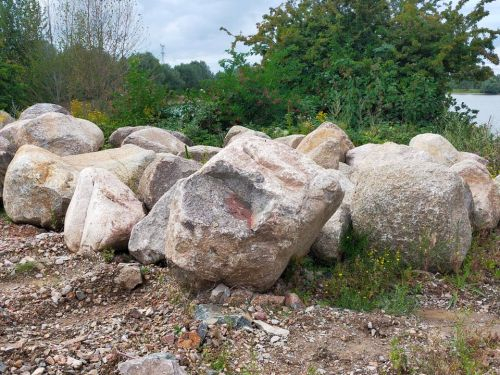 28574 28574 findlinge7 1 1